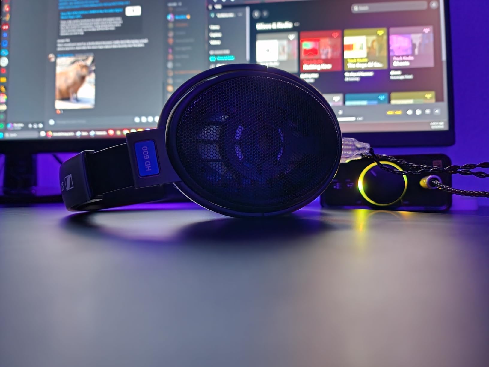 Sennheiser HD600 Headphones | Open-back design with noise isolation and ear cushions for studio monitoring, hi-fi listening and recording customer photo 2