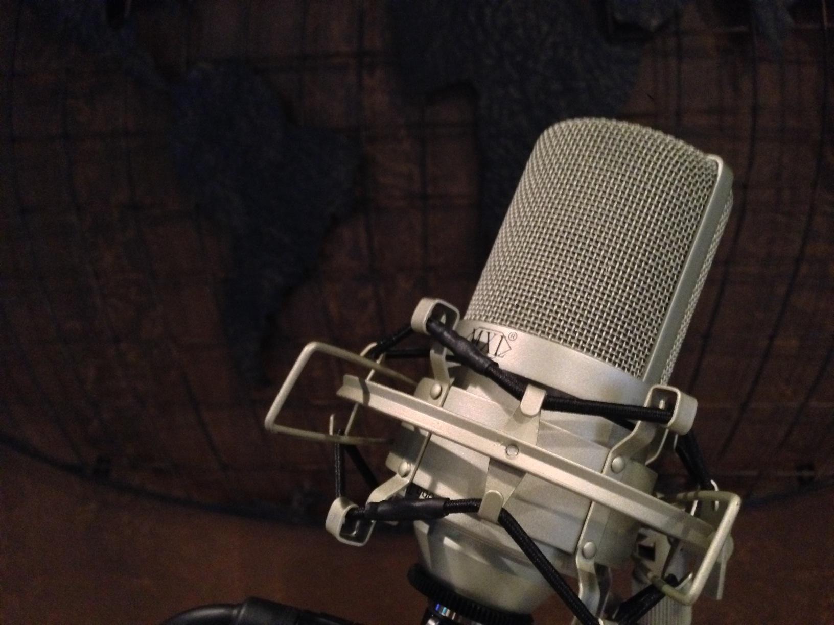 MXL 990 Condenser Microphone for Podcasting, Singing, Home Studio Recording, Gaming & Streaming | Detailed Sound | XLR | Large Diaphragm customer photo 1