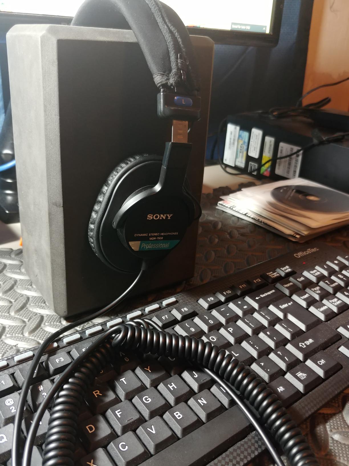 Sony MDR7506 Professional Large Diaphragm Headphone | MDR-7506, 40mm drivers, 10Hz-20kHz customer photo 1