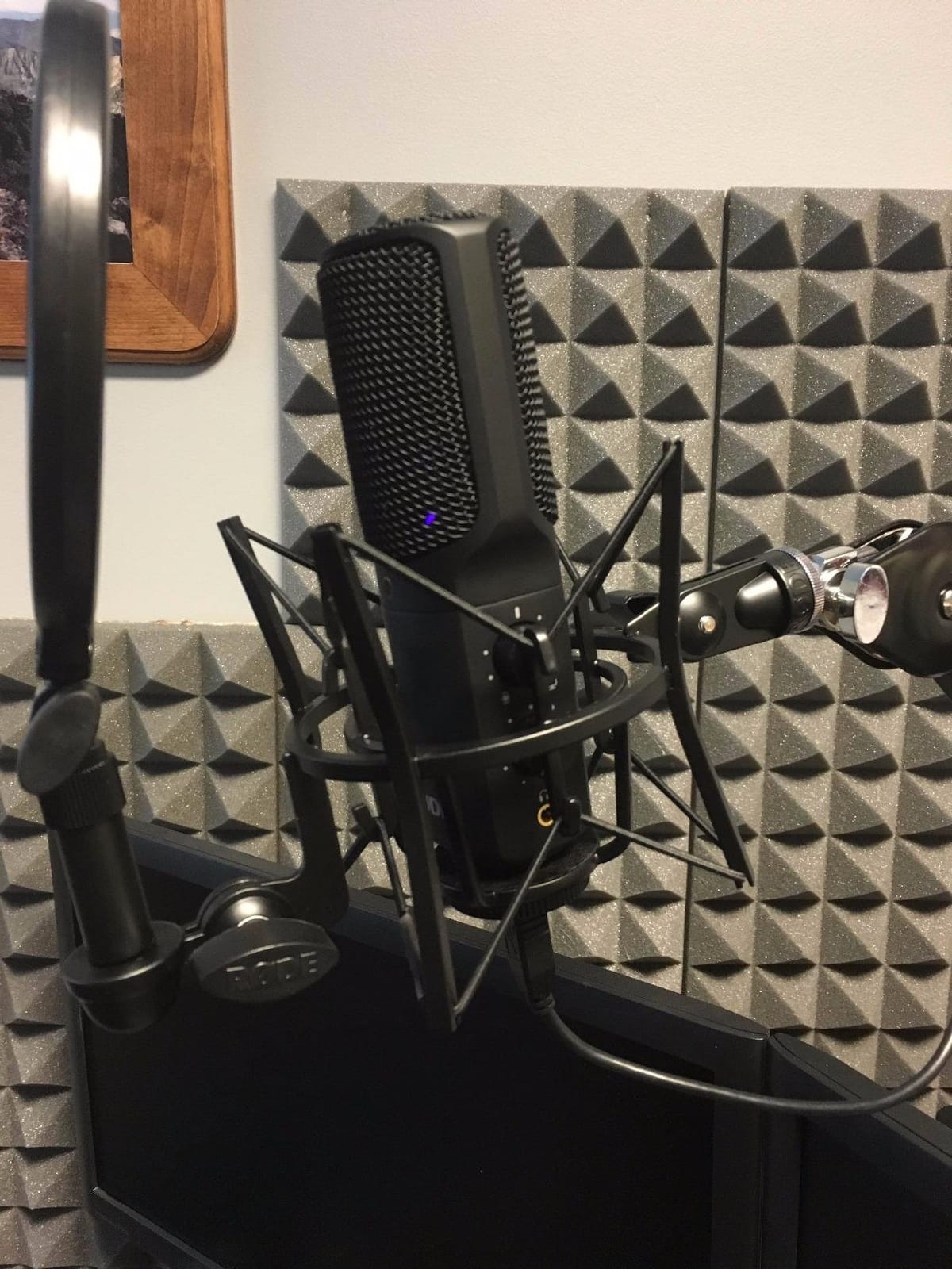 RODE NT-USB Versatile Studio-quality Condenser USB Microphone with Pop Filter and Tripod for Streaming, Gaming, Podcasting, Music Production, Vocal and Instrument Recording customer photo 2