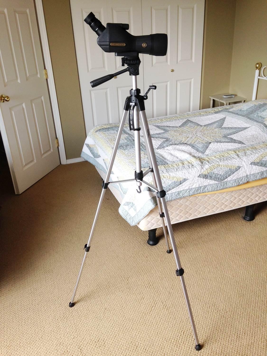 Amazon Basics 50-inch Lightweight Portable Camera Tripod Stand with Quick-Release Plate, Adjustable Height, Aluminum, for Travel Photography, Champagne customer photo 2