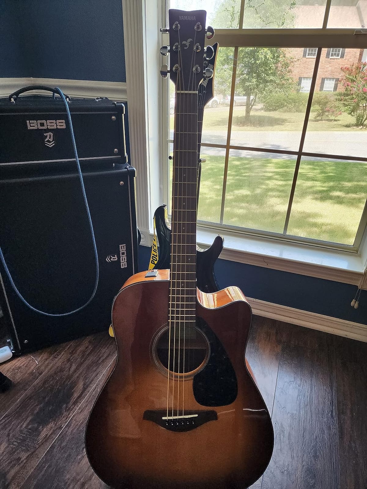 Yamaha FGX800C Solid Top Cutaway Acoustic-Electric Guitar, Dreadnought customer photo 2