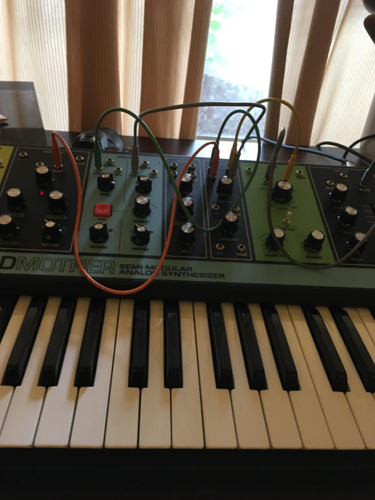 MOOG Grandmother Semi-Modular Analog Synthesizer | 32 Velocity-Sensitive Keys, Built-In Arpeggiator, Sequencer and Spring Reverb Tank customer photo 1