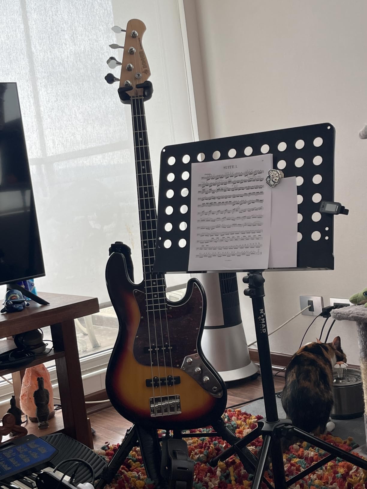 Donner Electric Bass 4 Strings Full-Size Guitar Kit PB-Style (Sunburst) | Standard Bass Beginner Kit for Starter with Free Online Lesson Gig Bag Guitar Strap and Guitar Cable, DPB-510 customer photo 2