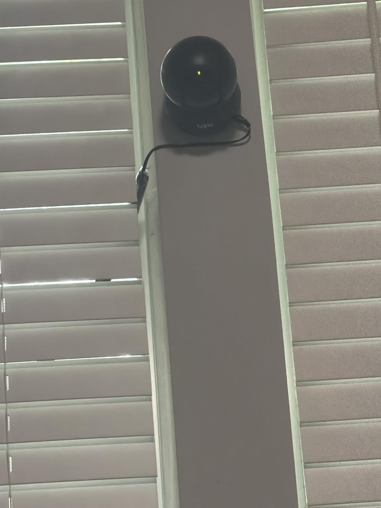 TP-Link Tapo Pan/Tilt Security Camera for Baby Monitor, Pet Camera w/Motion Detection, 1080P, 2-Way Audio, Night Vision, Cloud & SD Card Storage, Works with Alexa & Google Home (Tapo C200) customer photo 1