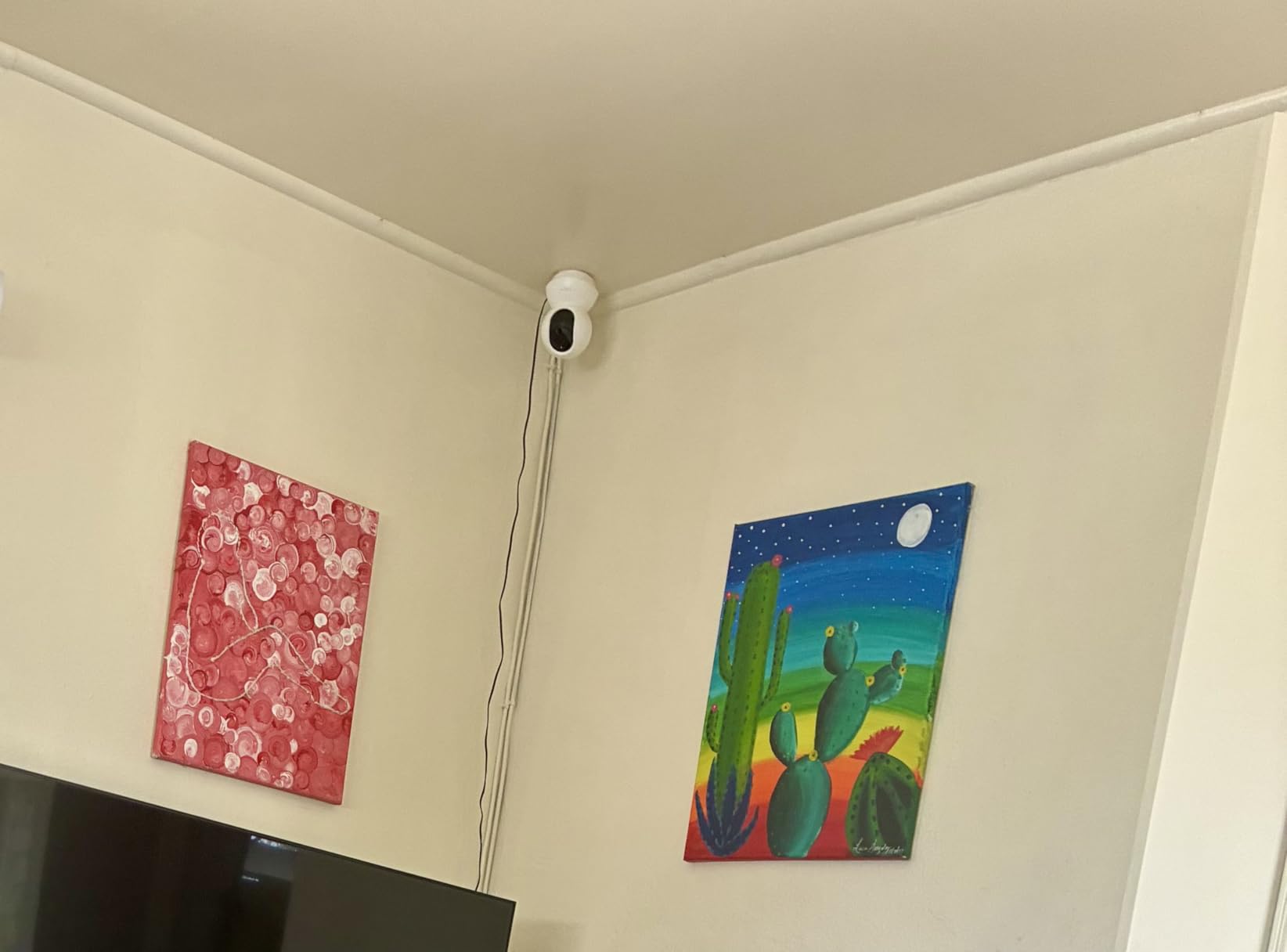 TP-Link Tapo Pan/Tilt Security Camera for Baby Monitor, Pet Camera w/Motion Detection, 1080P, 2-Way Audio, Night Vision, Cloud & SD Card Storage, Works with Alexa & Google Home (Tapo C200) customer photo 2