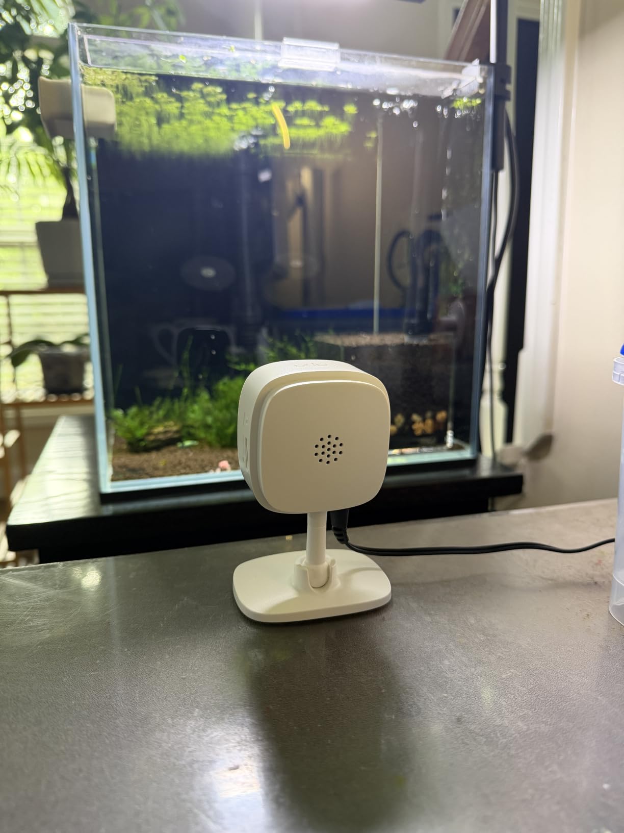 TP-Link Tapo 1080P Indoor Security Camera for Baby Monitor, Dog Camera w/Motion Detection, 2-Way Audio Siren, Night Vision, Cloud & SD Card Storage, Works w/Alexa & Google Home (Tapo C100) customer photo 1