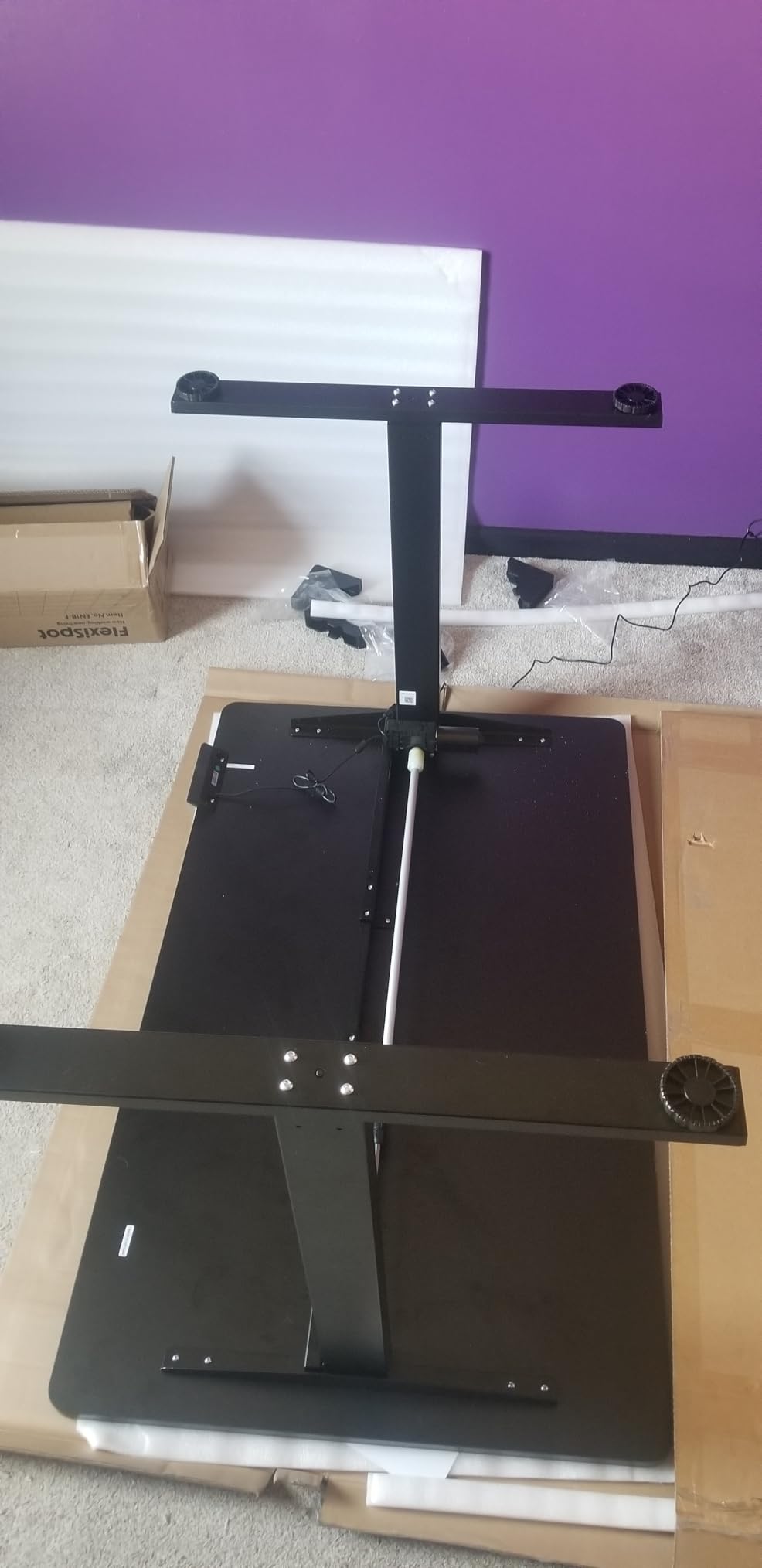 FLEXISPOT EN1 One-Piece Standing Desk, Electric Adjustable with 4 Memory Presets, 176 LBS Capacity, Stable & Quiet, Seamless Desktop for Home Office & Dual Monitors, 48
