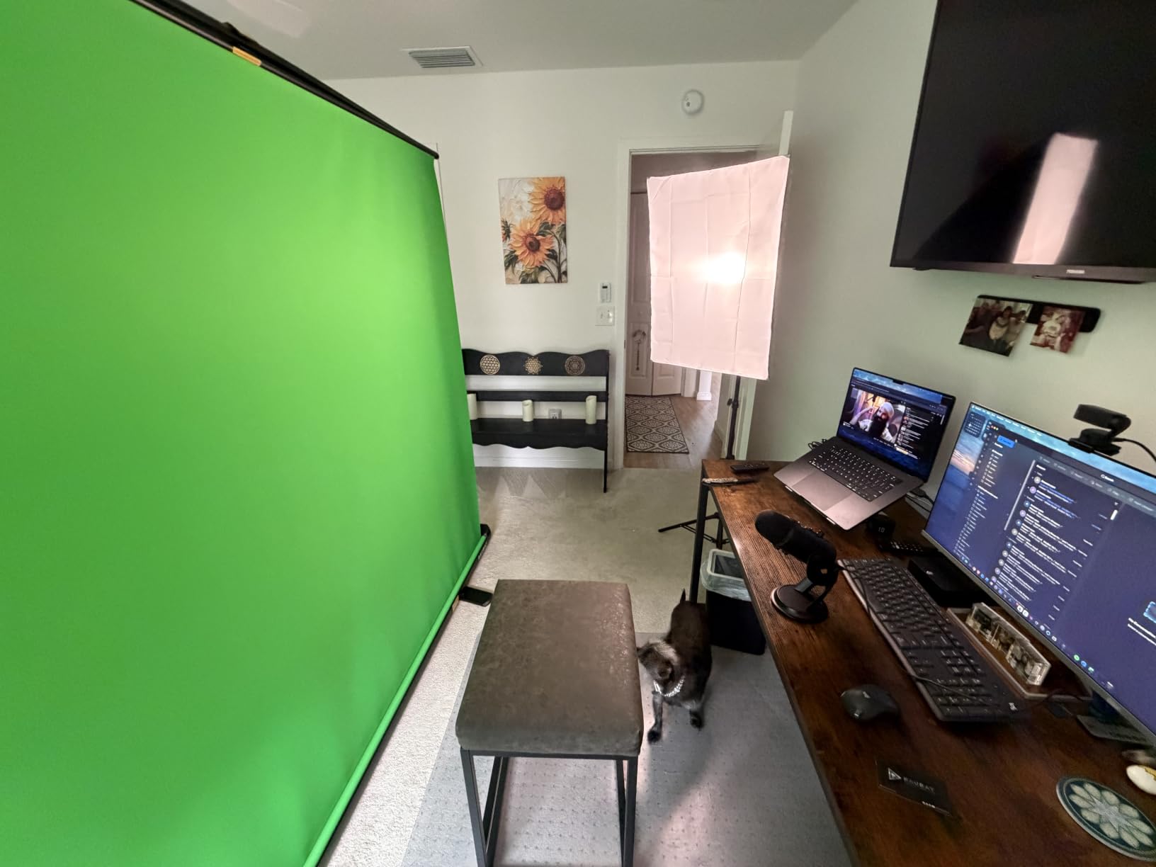 RAUBAY 78.7 x 82.7in Large Collapsible Green Screen Backdrop | Portable Retractable Chroma Key Panel Photo Background with Stand for Video Conference, Photographic Studio, Streaming customer photo 1