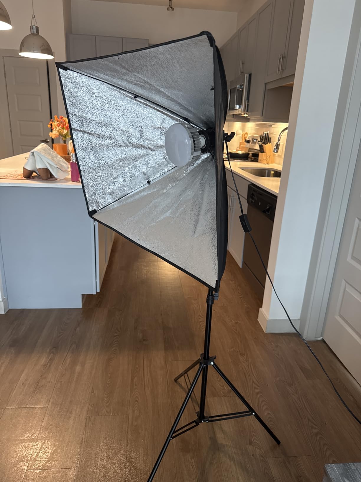 Skytex Softbox Lighting Kit 2Pack 20x28in Soft Box customer photo 1