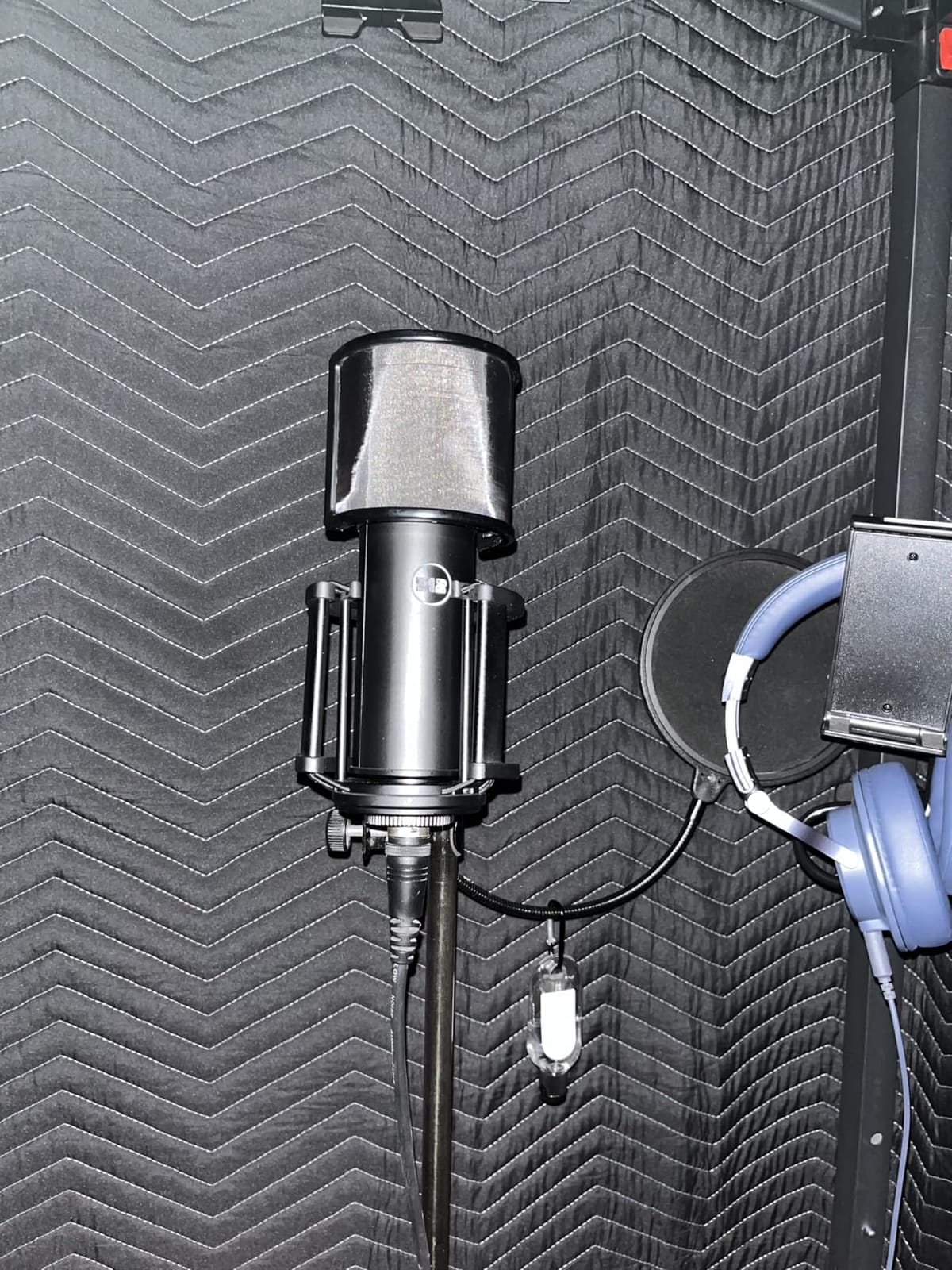 512 Audio by Warm Audio Skylight Large Diaphragm Studio Condenser XLR Microphone + Shock Mount + Bag for Recording and Podcasting customer photo 2