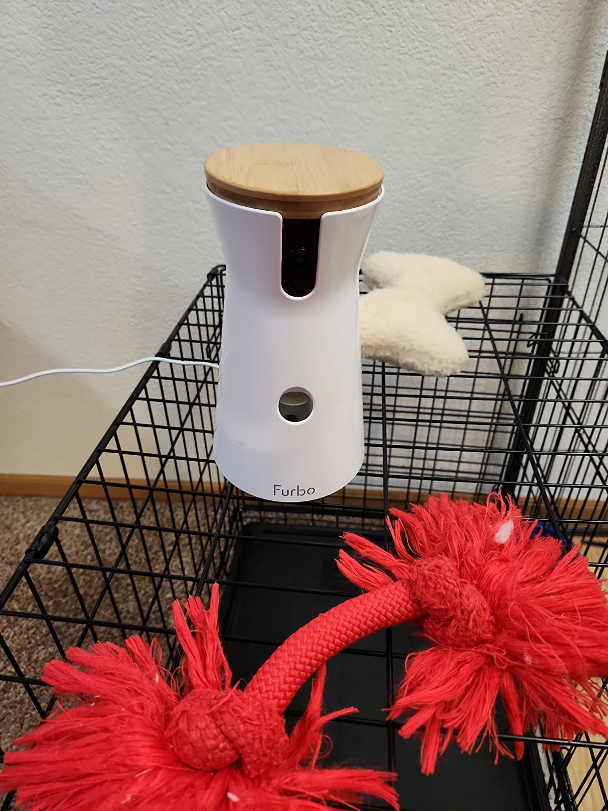 Furbo 360 Dog Camera [No Monthly Fee] - 360 Rotating Live View, Barking Alerts, Treat Toss, 2-Way Audio, Night Vision, Smart Home Puppy Monitoring, No AI Alerts customer photo 1