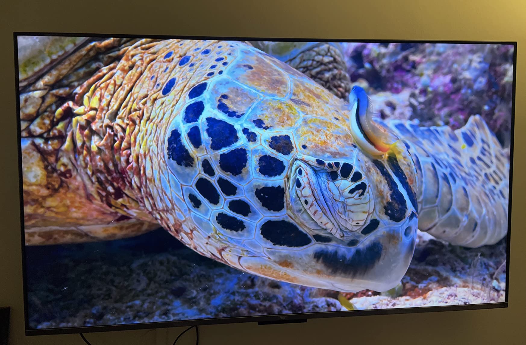 Amazon Fire TV 55