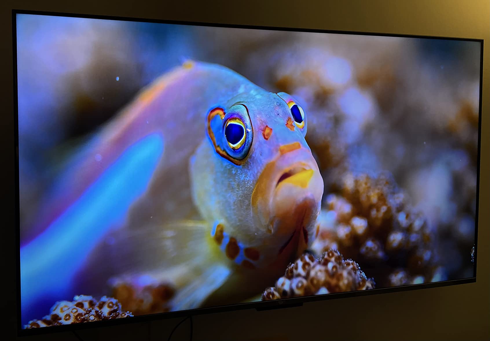 Amazon Fire TV 55