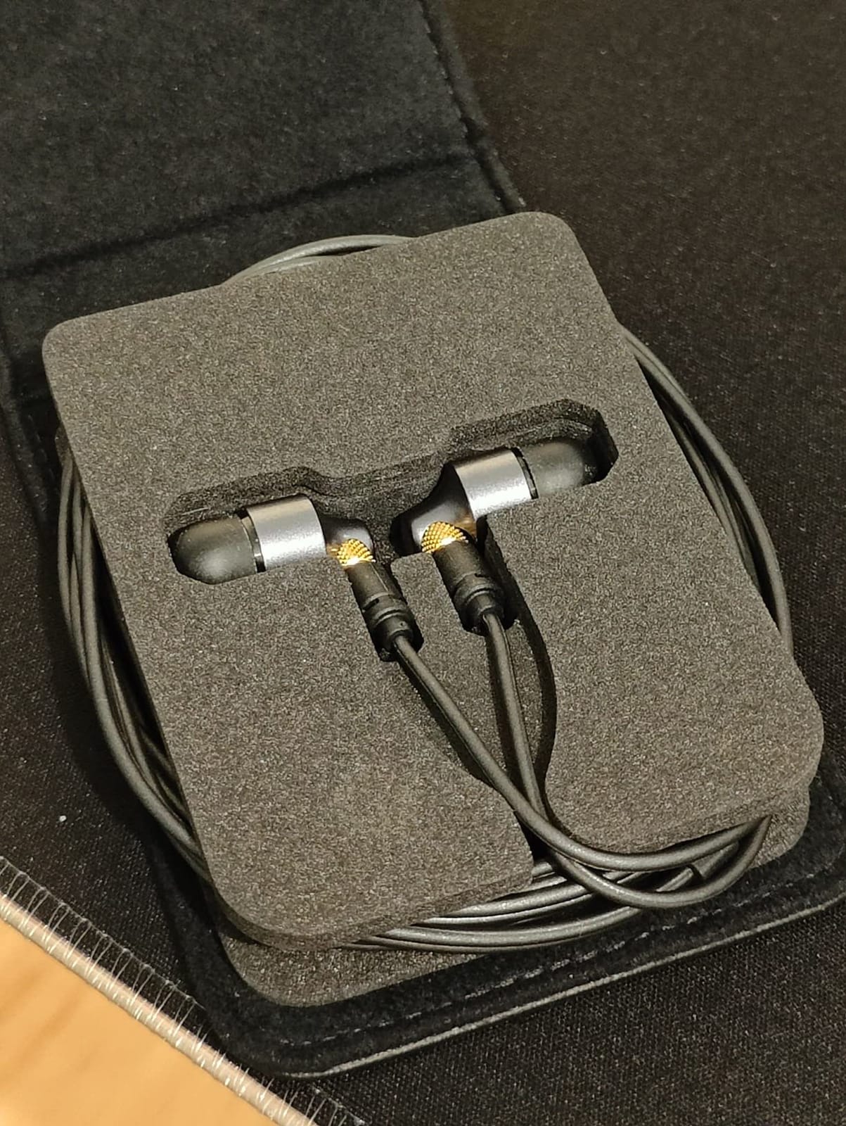 Technics Premium in-Ear Monitors IEM, High-Fidelity Wired in-Ear Earbuds Earphones with Innovative 10mm Driver for Ultra-Low Distortion - EAH-TZ700, Black/Gold customer photo 2