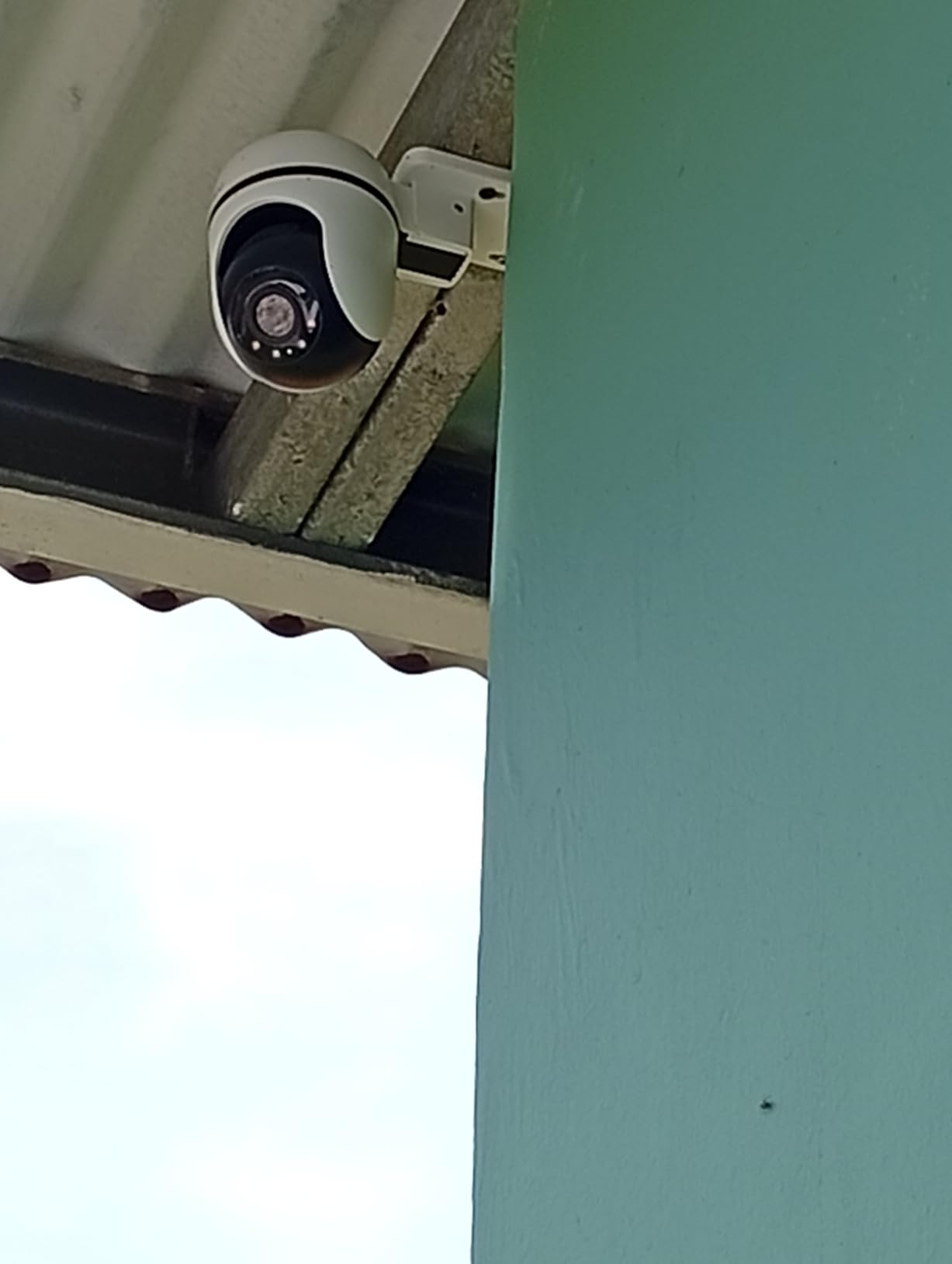 Tapo 1080P Outdoor Wired Pan/Tilt Security Wi-Fi Camera, 360 degree View, Motion Tracking, Works with Alexa & Google Home, Night Vision, Free AI Detection, Cloud & SD Card Storage(up to 512GB), Tapo C500 customer photo 1