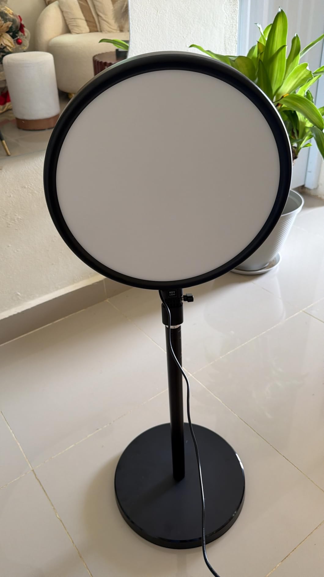 Weilisi Large Ring Light with 79