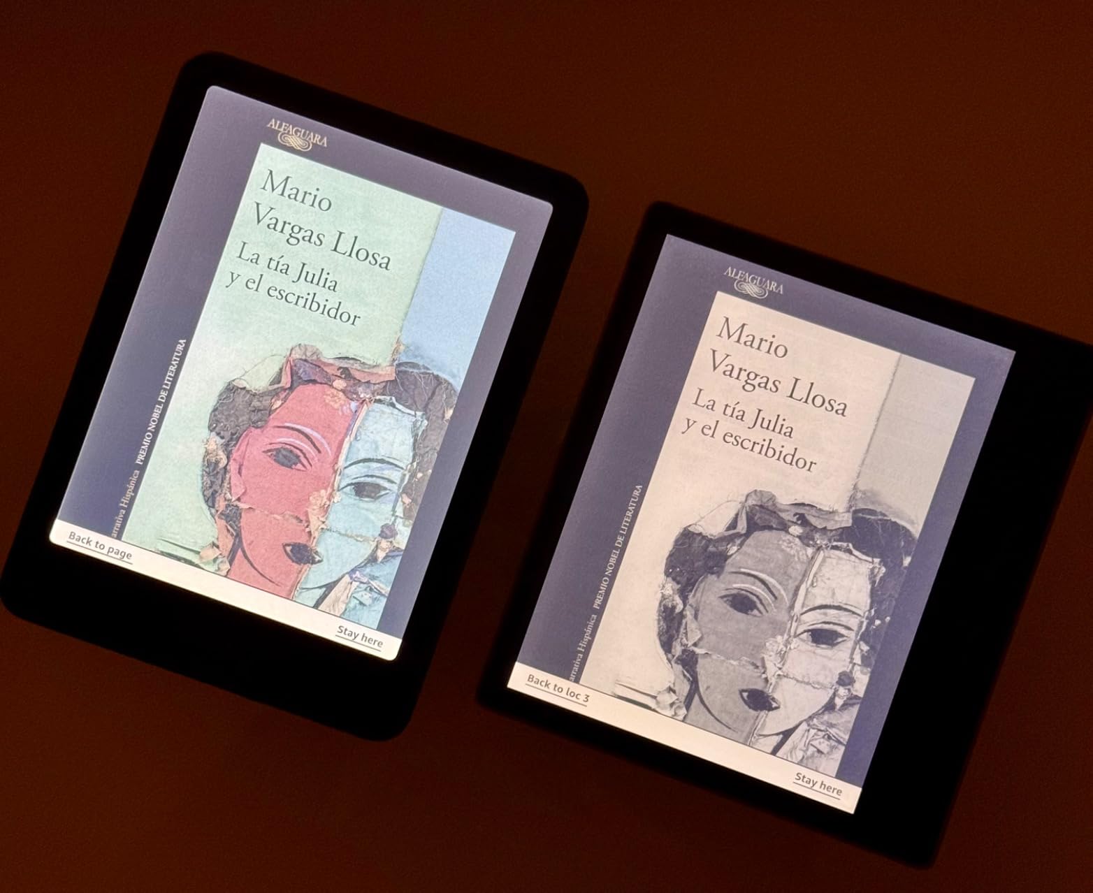 Amazon Kindle Colorsoft Signature Edition 32GB (newest model) - With color display, auto-adjusting front light, wireless charging, and long battery life - Metallic Black customer photo 2
