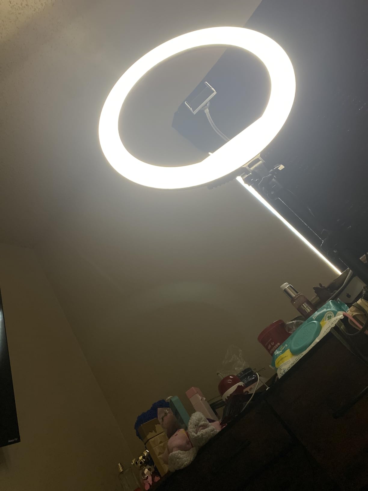 Hagibis 21 inch Ring Light with Stand Outer 55W 5600k Dimmable LED Light, Tripod Stand, and Phone Holder, Remote Controller, Carrying Bag, CRI 97+ 2540lux, for Streaming Home Office Zoom Call Lighting customer photo 1