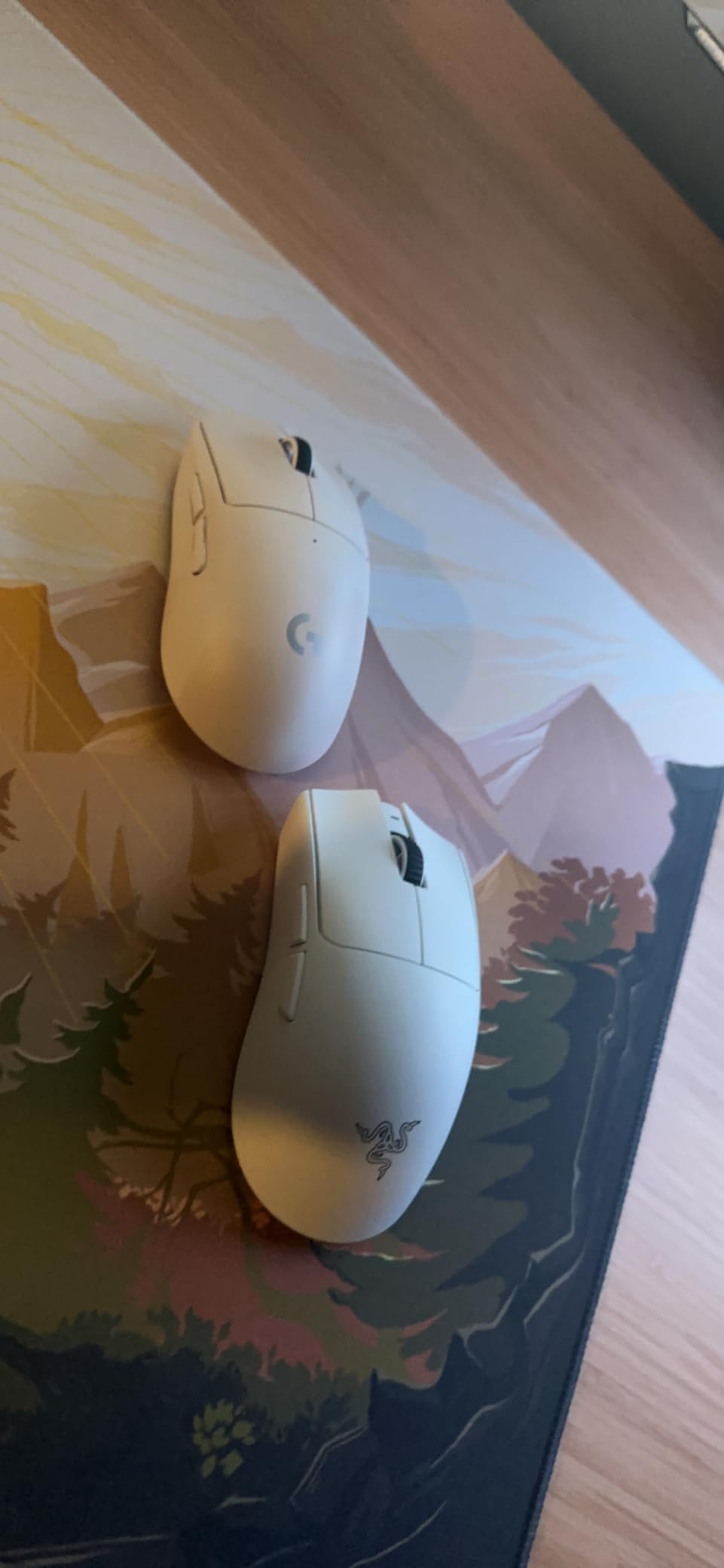 Razer Viper V3 Pro Wireless Esports Gaming Mouse, 55g Lightweight, White | 35K DPI Optical Sensor, Gen3 Optical Switches, 8 Programmable Controls, 95 Hr Battery, 8000 Hz Polling Rate, for PC & Mac customer photo 2