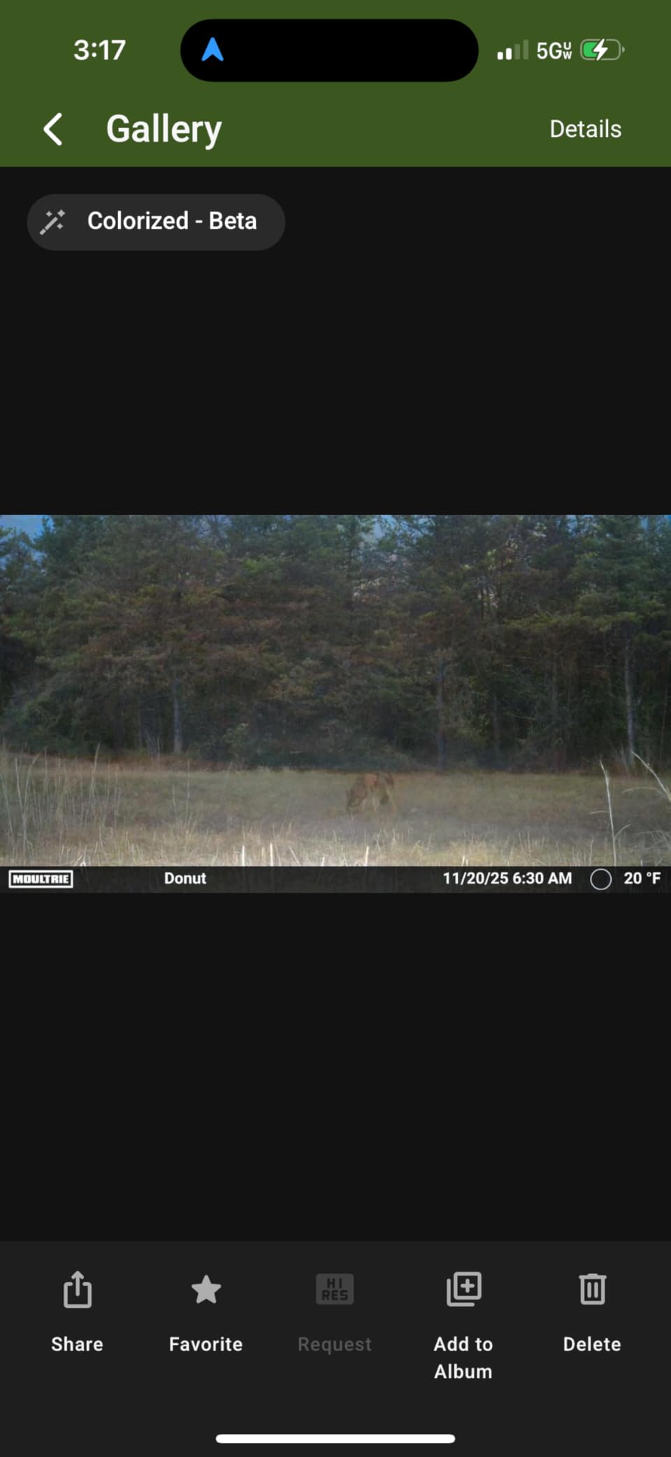 Moultrie Edge 2 Cellular Trail Camera | Scout from Anywhere, HD photos via Mobile app, 1080p video, multi-carrier, low-glow flash, 100ft detection customer photo 2