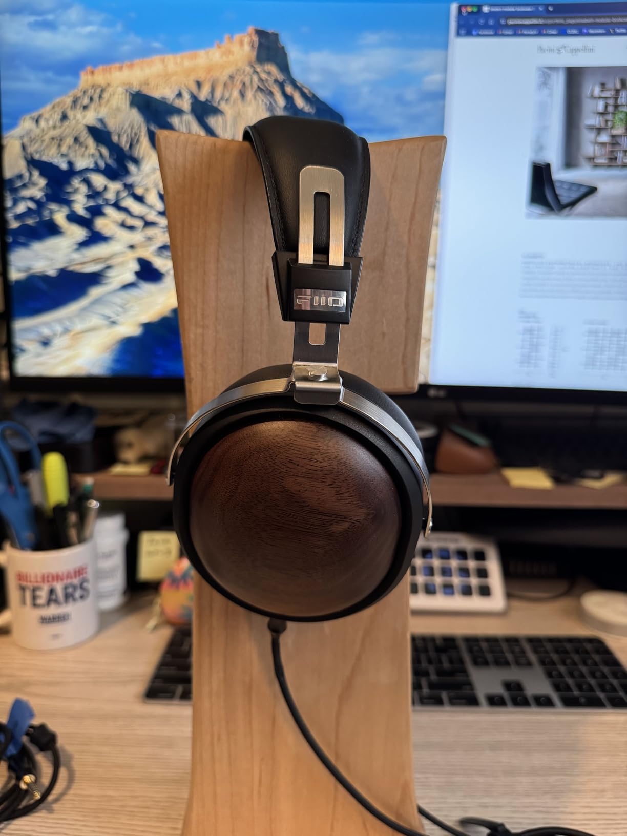 FiiO FT1 32Ω Large Dynamic Driver Headphones with Solid Wood Cups customer photo 1