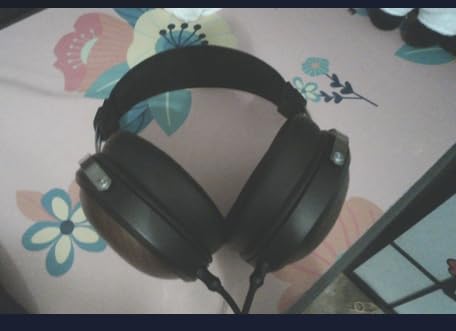 FiiO FT1 32Ω Large Dynamic Driver Headphones with Solid Wood Cups customer photo 2
