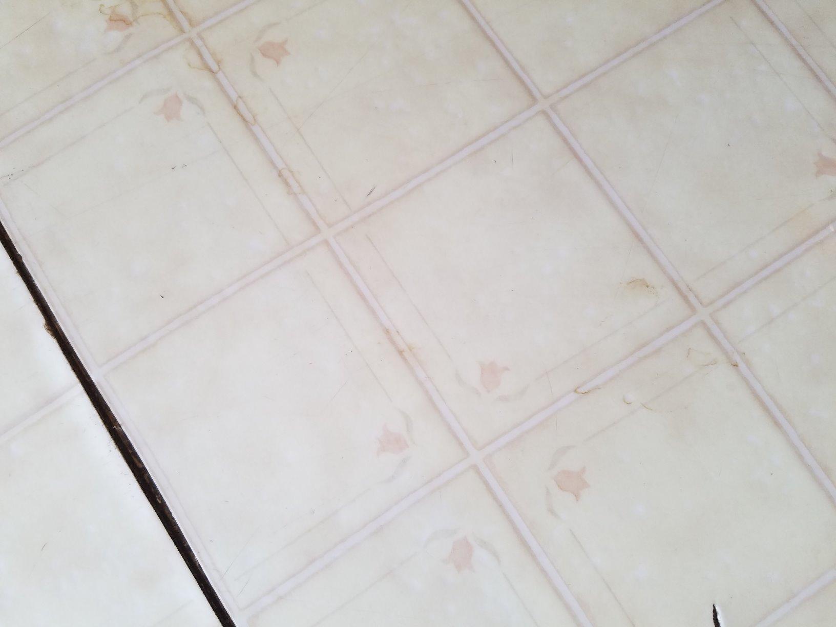 roborock Q7 M5+ Robot Vacuum and Mop customer photo 2