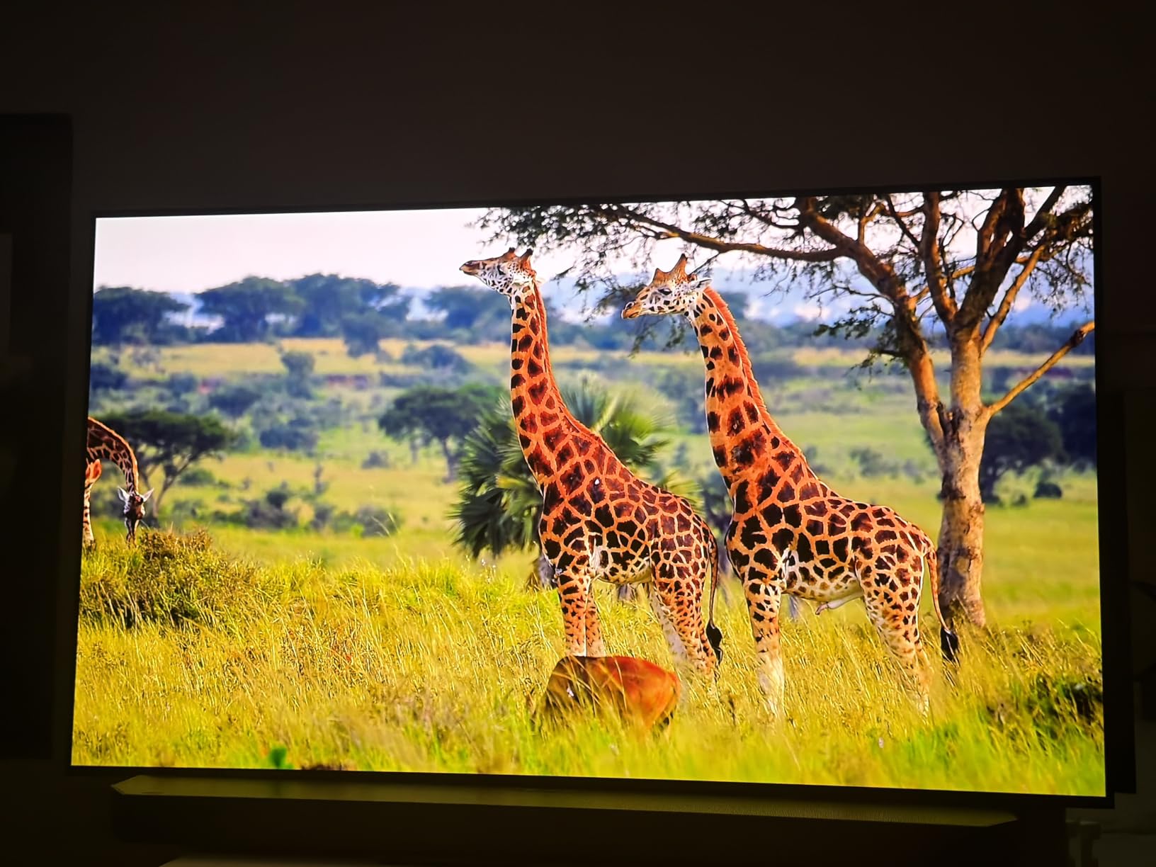 Samsung 65-Inch Class OLED S90F 4K Smart TV (2025 Model) NQ4 AI Gen3 Processor Upscaling Pro HDR+, Motion Xcelerator 144Hz, Vision Alexa Built-in customer photo 1