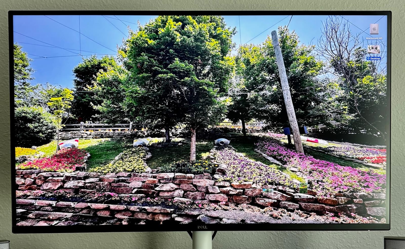Dell 27 Monitor S2725QS, 4K UHD IPS, 120Hz, 5ms, FreeSync Premium | 350 cd/m2 Brightness, 1,500:1 Contrast, 99% sRGB, Anti-Glare, HDMI, DisplayPort, USB-C, Height Adjustable, Swivel, Pivot customer photo 1