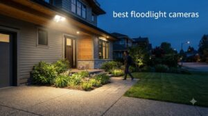 best floodlight cameras