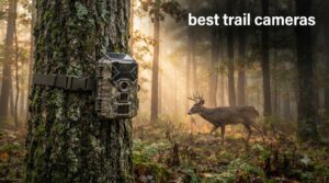 best trail cameras