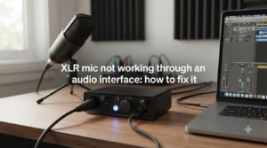 XLR mic not working through an audio interface: how to fix it