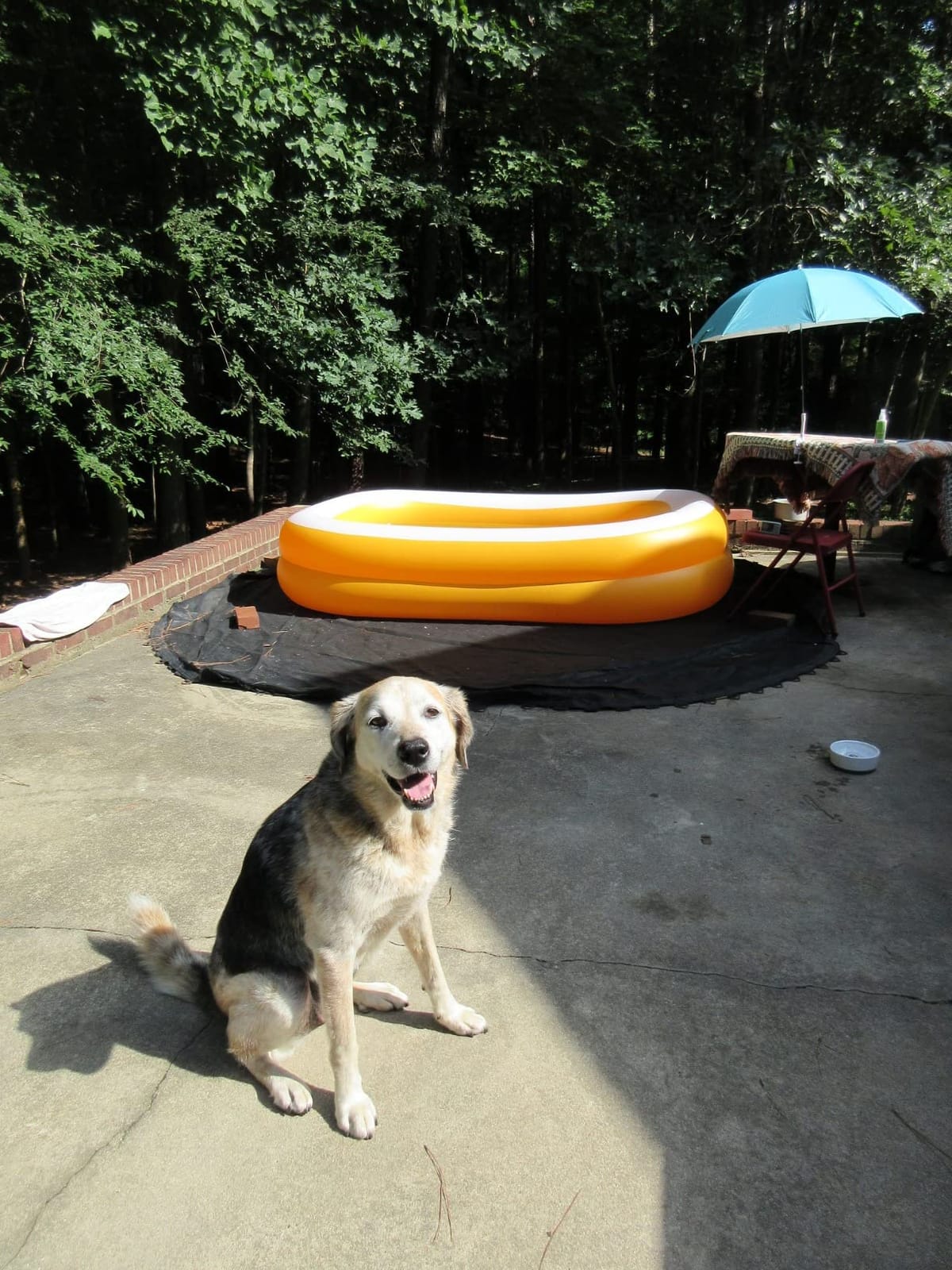INTEX Rectangular Family Lounge Inflatable Swimming Pool for Kids & Adults customer photo 2