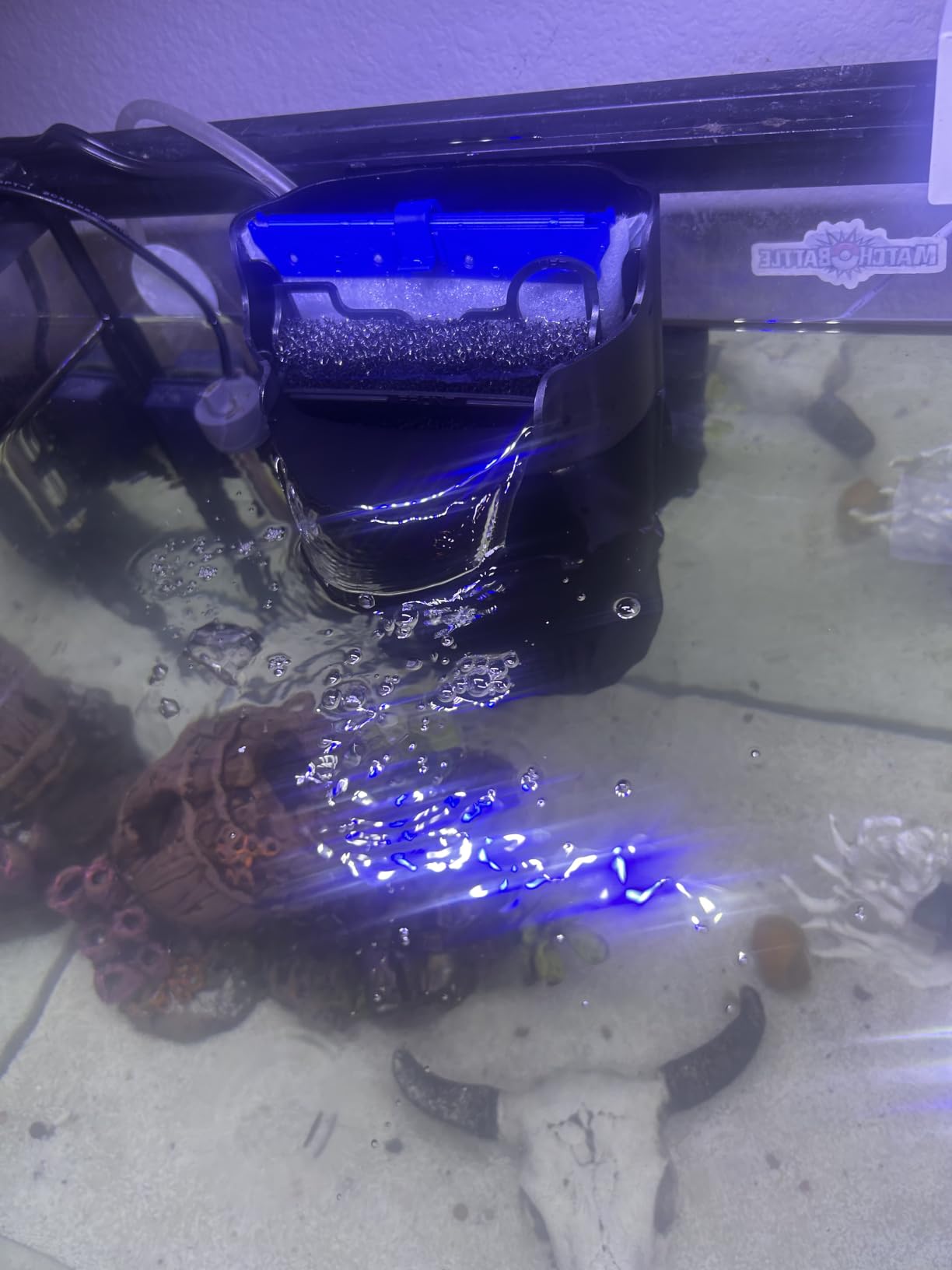 Tetra Whisper 170 GPH Internal Power Aquarium Filter customer photo 1