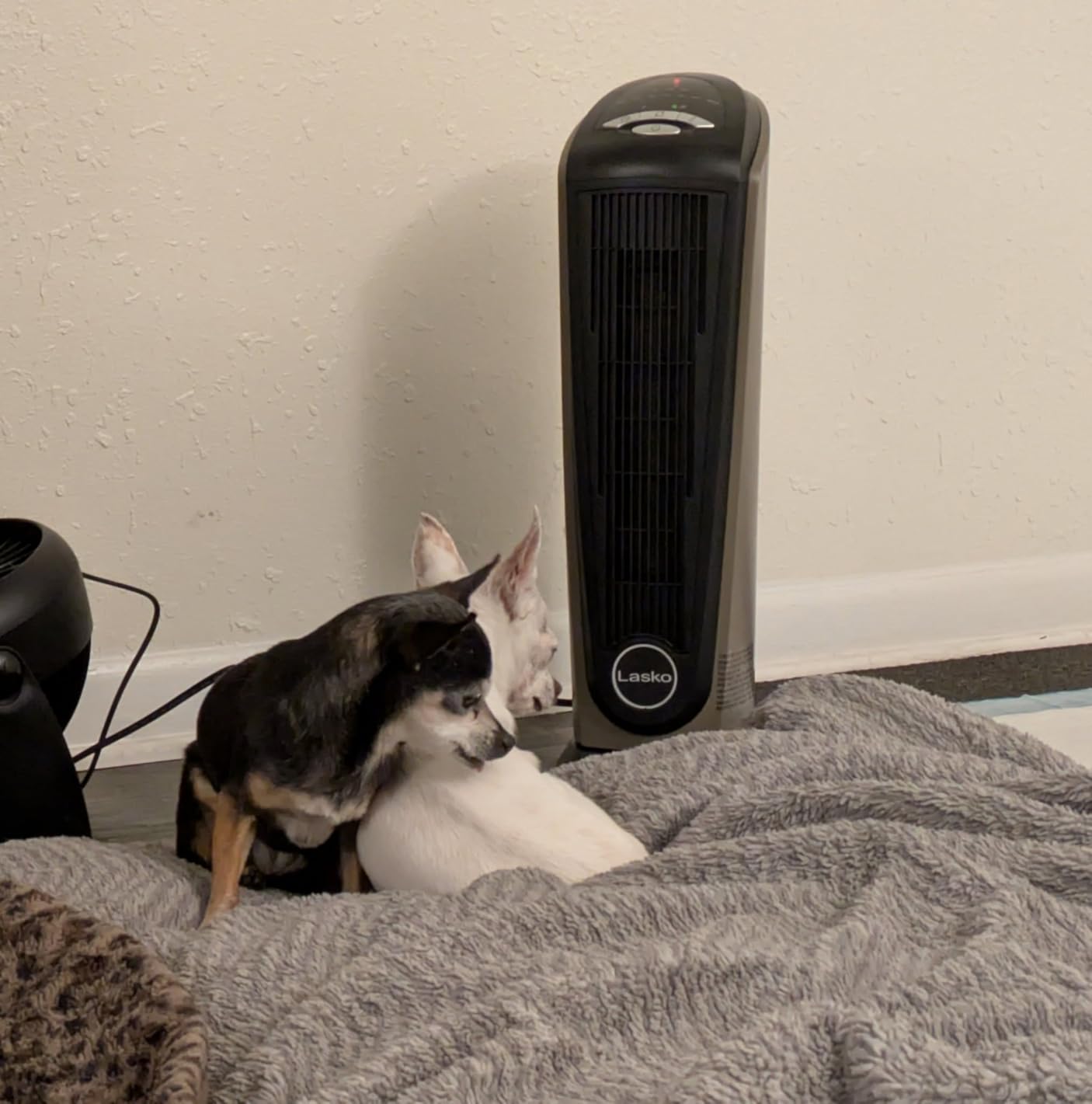 Lasko 23