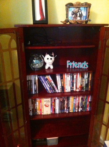 SEI Furniture - Window Pane Media Cabinet - Cherry - Transitional Design, Brown Glass and Wood - Ideal for Home Office, Living Room (MS1073) customer photo 1