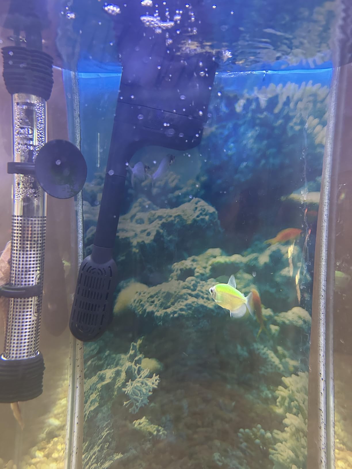 Tetra Whisper EX 70 Filter For 45 To 70 Gallon aquariums, Silent Multi-Stage Filtration customer photo 1