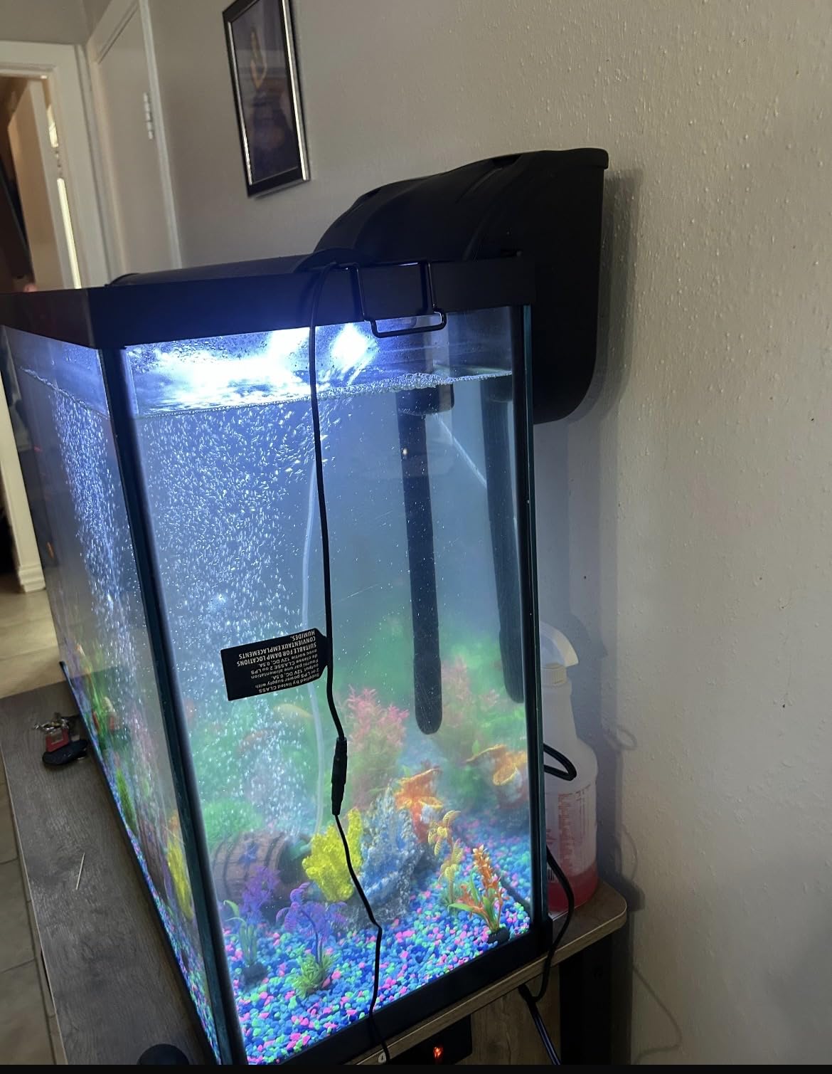 Tetra Whisper EX 70 Filter For 45 To 70 Gallon aquariums, Silent Multi-Stage Filtration customer photo 2