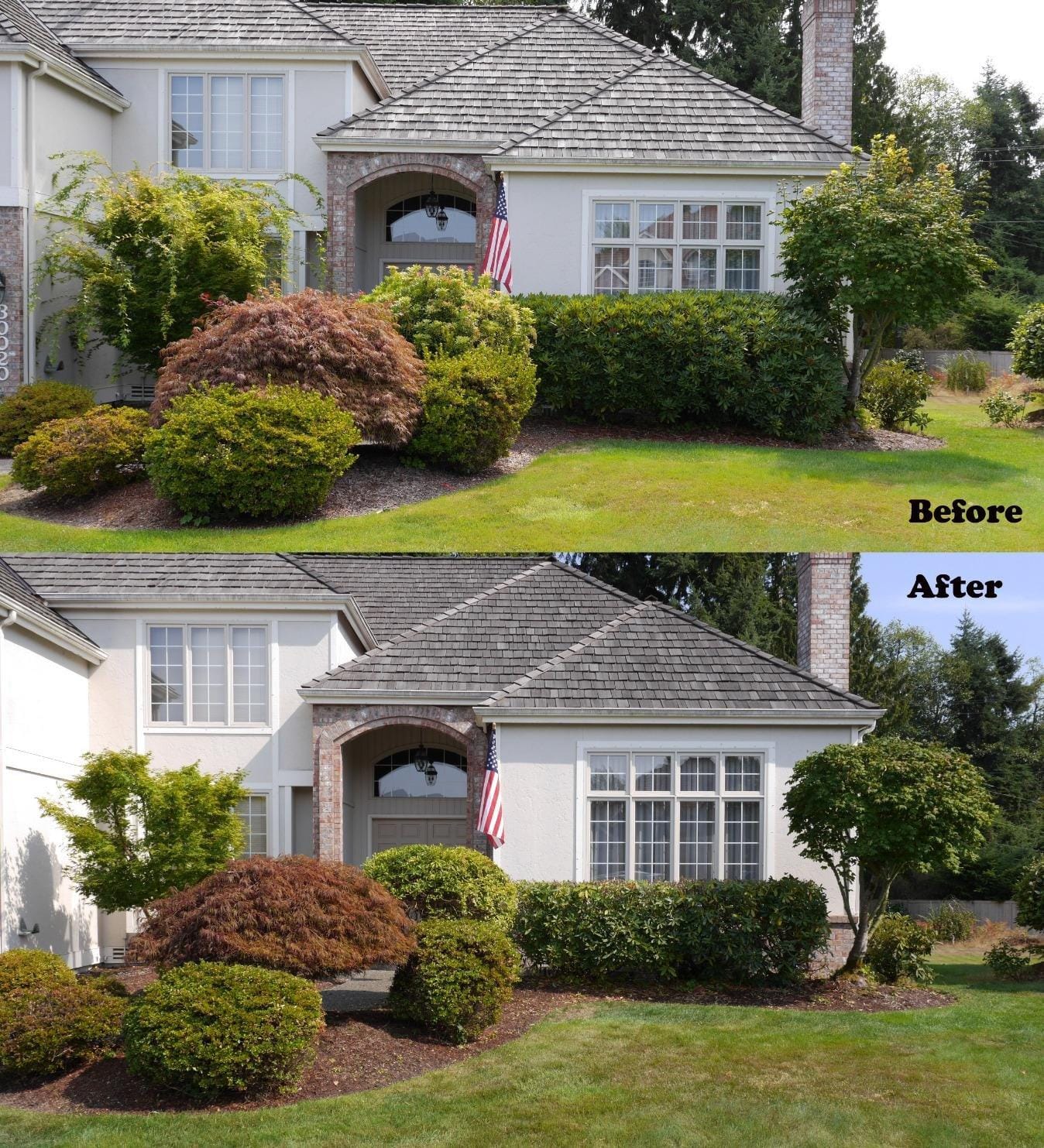 BLACK+DECKER 40V MAX Hedge Trimmer, Cordless, 24-Inch Blade, Battery and Charger Included (LHT2436) customer photo 2