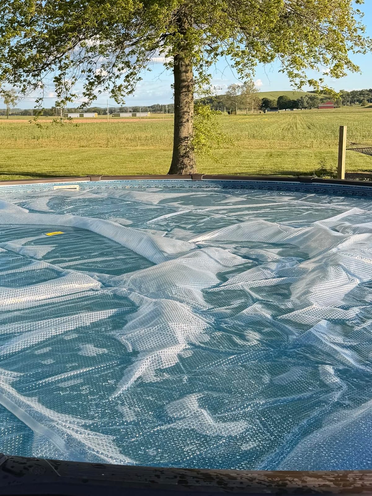 Sun2Solar Blue 24 ft Round Pool Solar Cover | 12 Mil | Heat Retaining customer photo 2