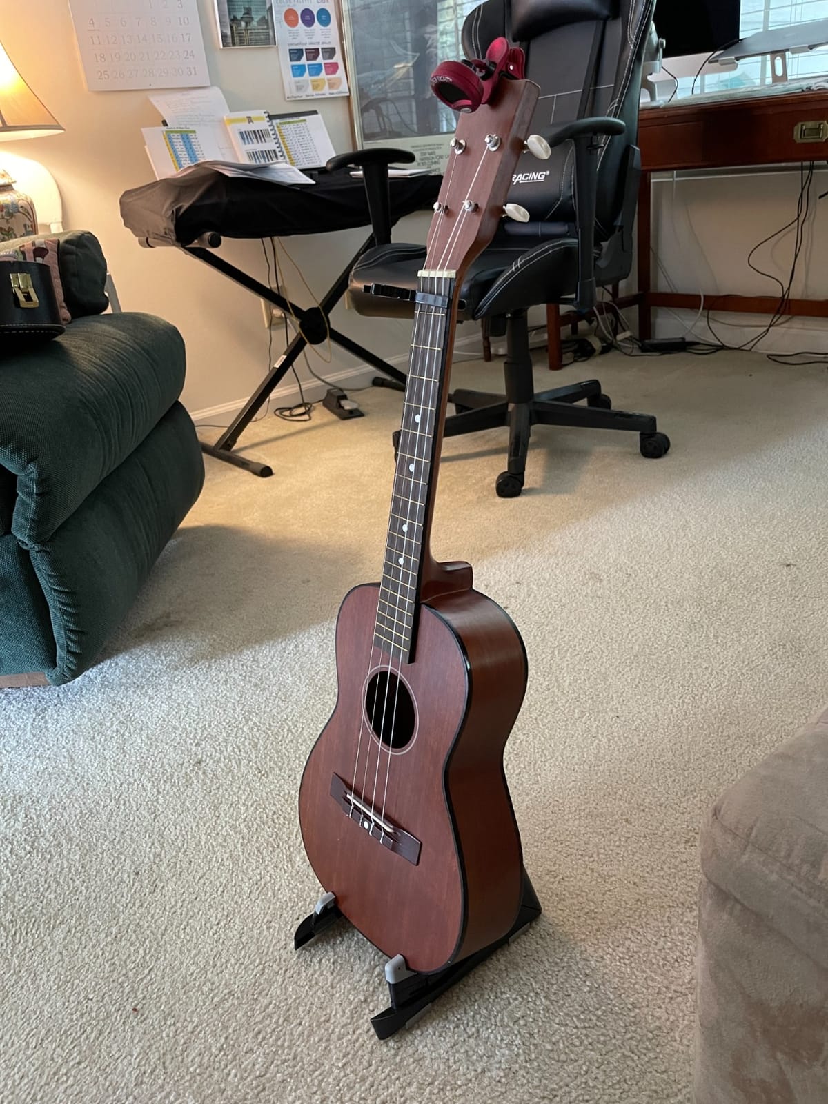 Aquila 21U Baritone Ukulele DGBE Nylgut Strings, Low D customer photo 2