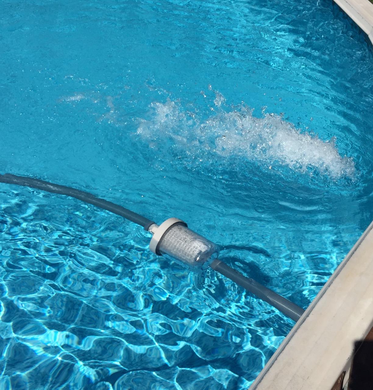 Pentair 360100 Kreepy Krauly Lil Shark Above Ground Pool Cleaner customer photo 1