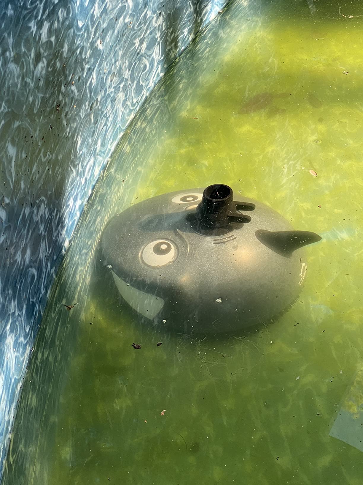 Pentair 360100 Kreepy Krauly Lil Shark Above Ground Pool Cleaner customer photo 2