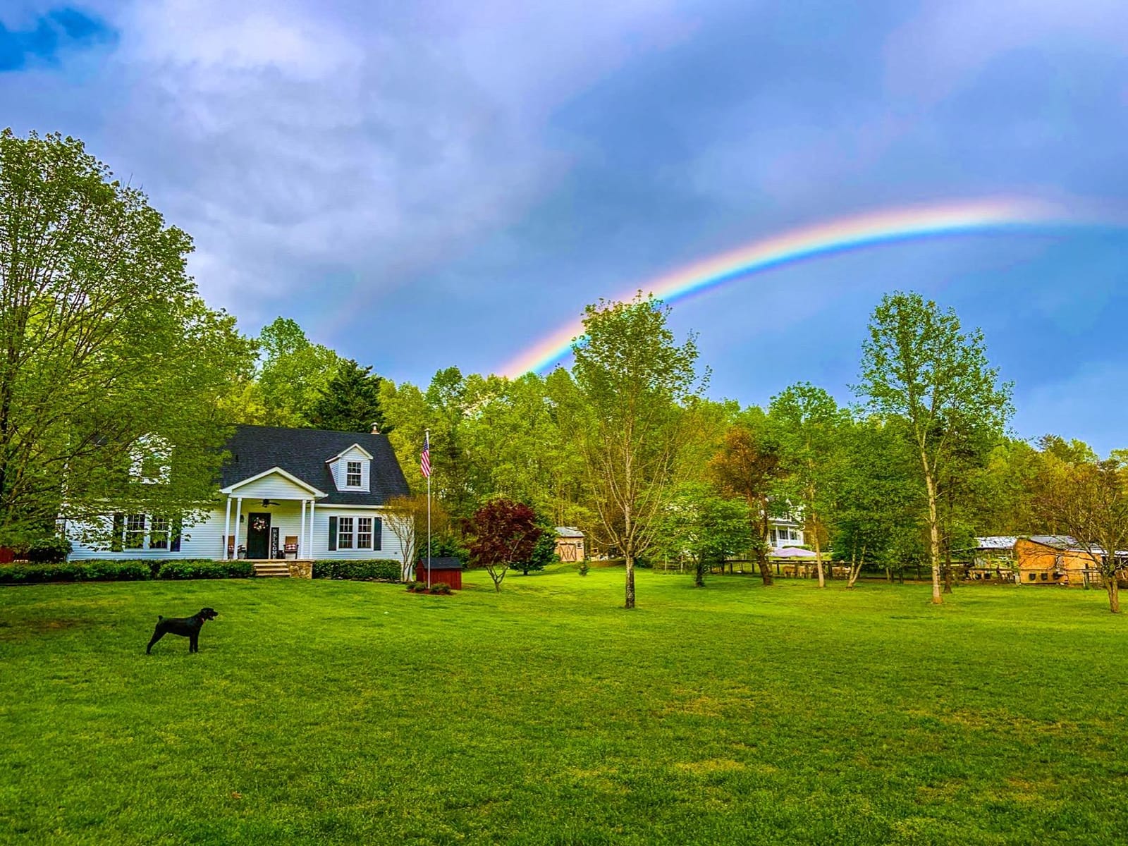 PetSafe Basic In-Ground Fence, Up to 1/3 Acre | Tone-Only Mode Plus 4 Static Levels, Includes 500 Ft Wire, Expandable up to 5 Acres, DIY Weekend Install, Pets 8lb+ customer photo 1
