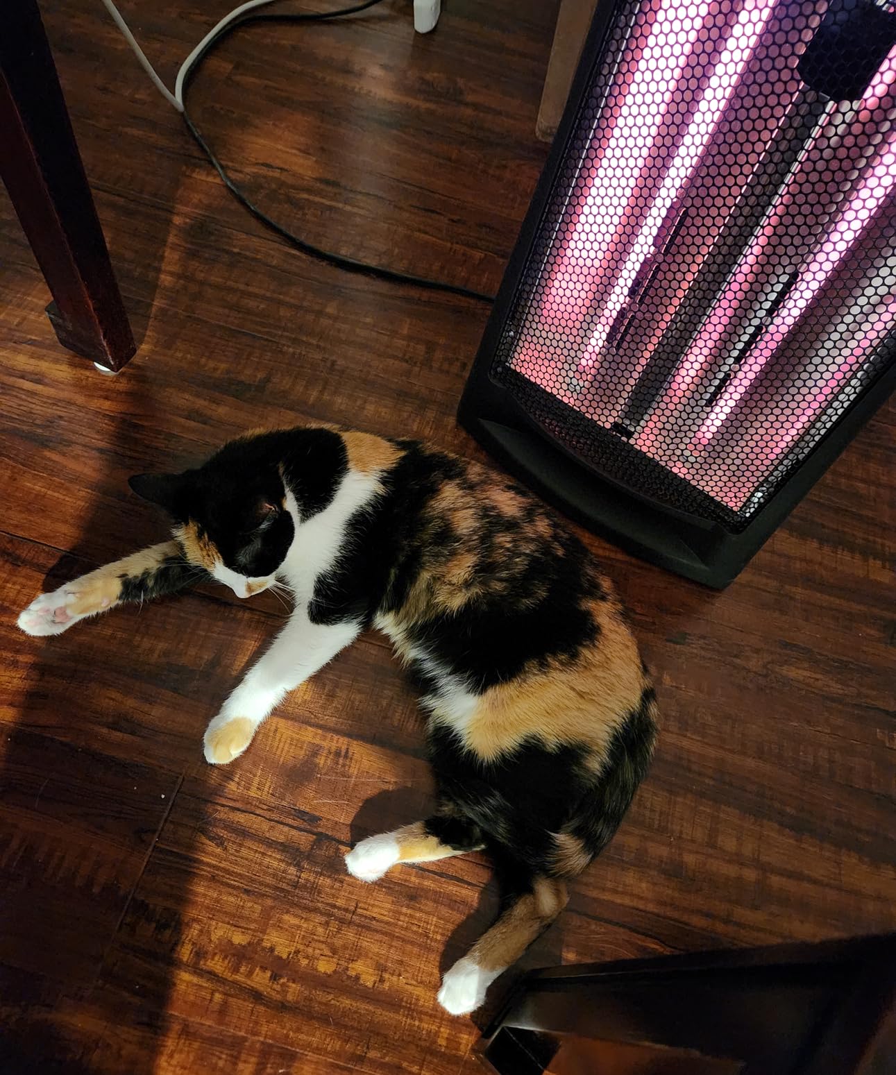 Comfort Zone Indoor Tower Space Heater, Adjustable Thermostat, Radiant Heat, Electric, Infrared Quartz, 2 Heat Settings, Overheat Protection, Ideal for Home, Bedroom, & Office, 1,500W, CZQTV007BK | Dual quartz fan-forced heating with 2 settings (750W/1500W) delivers up to 5,120 BTUs of efficient, targeted warmth. customer photo 1