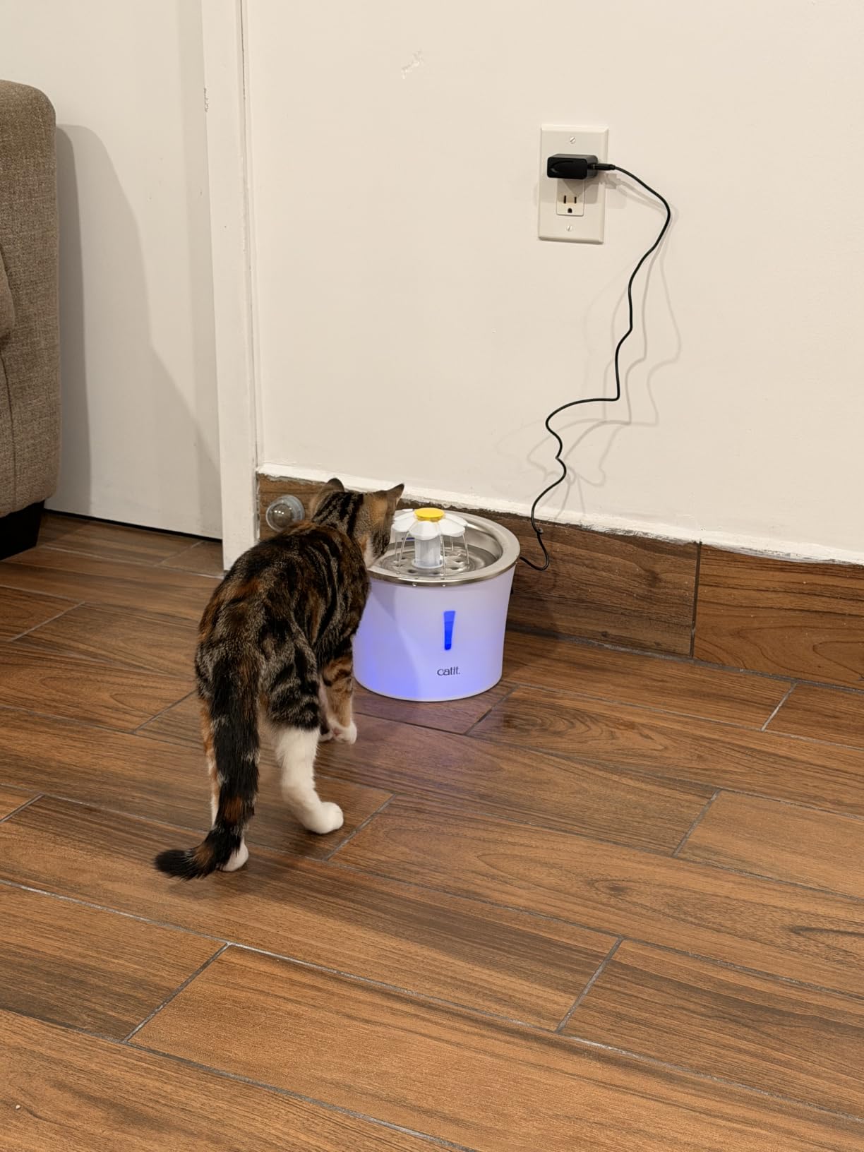Catit Flower Fountain with Triple Action Filter, Cat Drinking Water Fountain, 3 L, Green | Cat Drinking Water Fountain customer photo 1