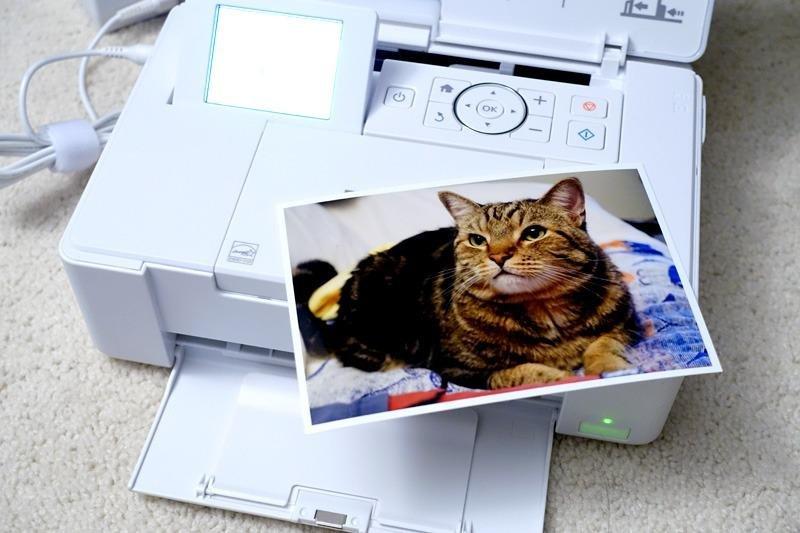 Epson PictureMate PM-400 Wireless Compact Color Photo Printer, white | Compact wireless photo printing; borderless 4 x 6 and 5 x 7 in., mobile support; ideal for home and travel customer photo 1