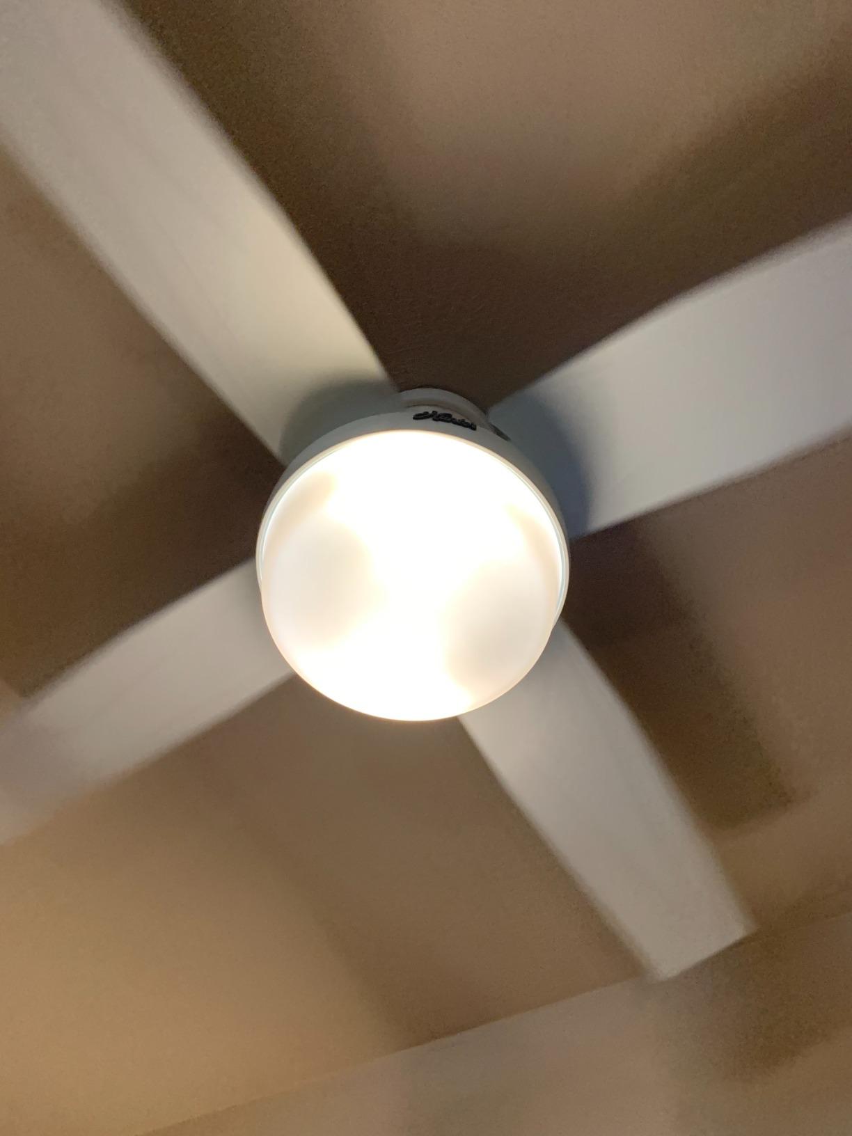 Hunter Dempsey, Indoor, Ceiling Fan, Modern, Quiet, 44 inch, Fresh White customer photo 2