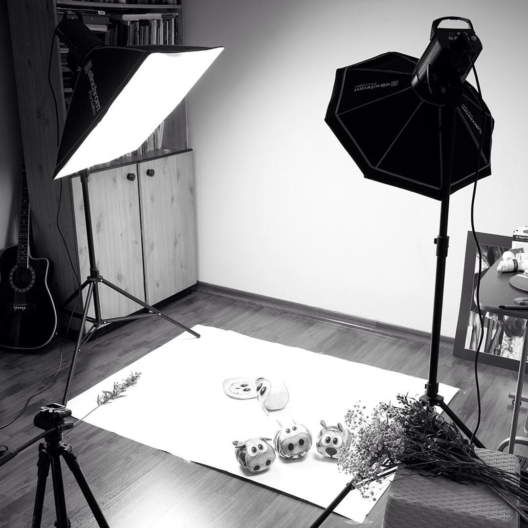 Elinchrom D-Lite RX 4/4 Studio Flash to Go Kit (EL20839.2) customer photo 2